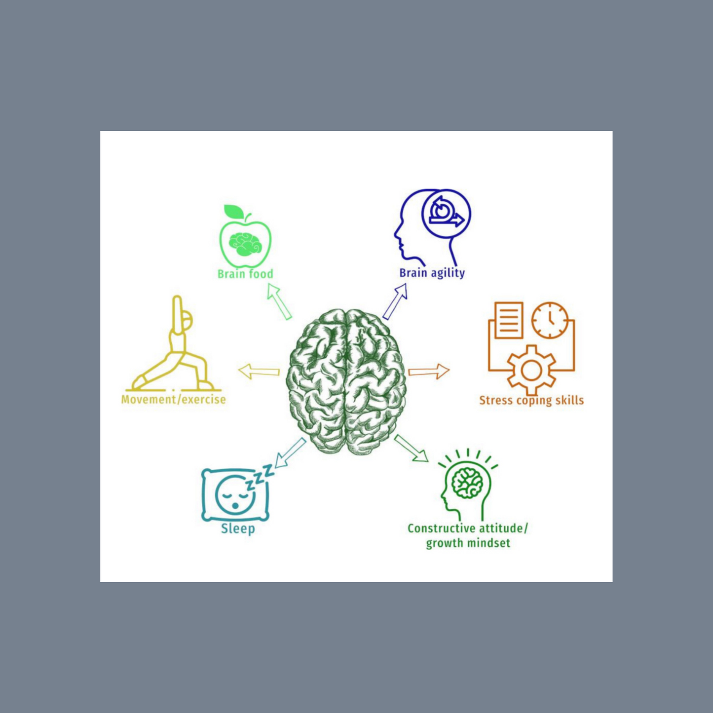 NAP Competencies 360 - Adult
