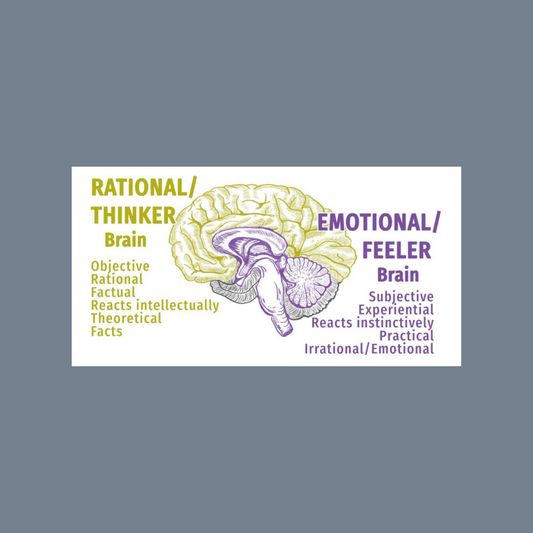 Whole Brain Learning - Students